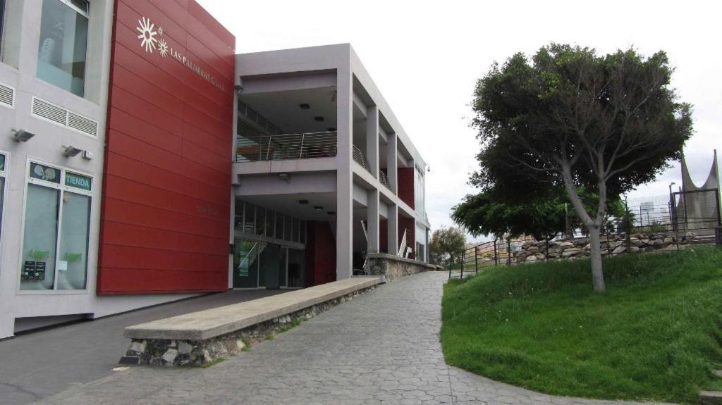 Lala Loft Las Canteras Лас-Пальмас-де-Гран-Канарія Екстер'єр фото